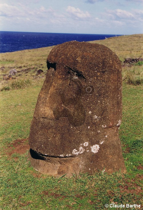 image15