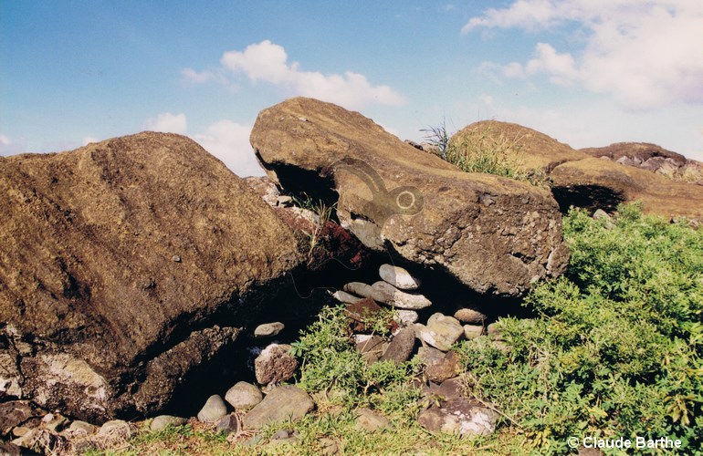image14