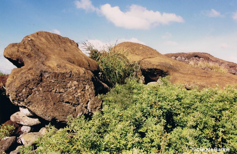 image15