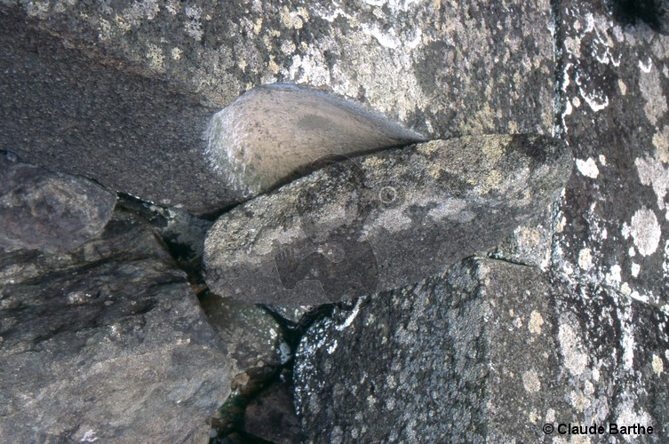 image23