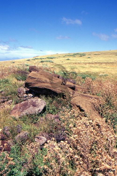 image13