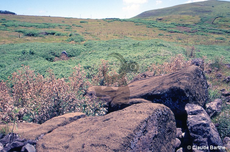 image16