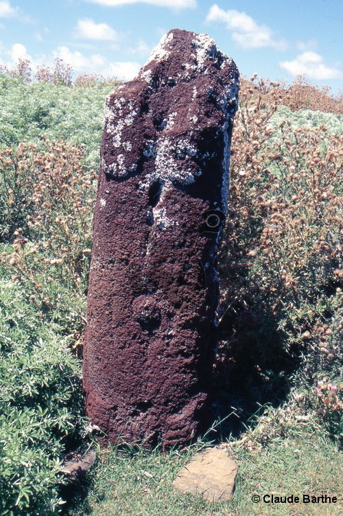 image11