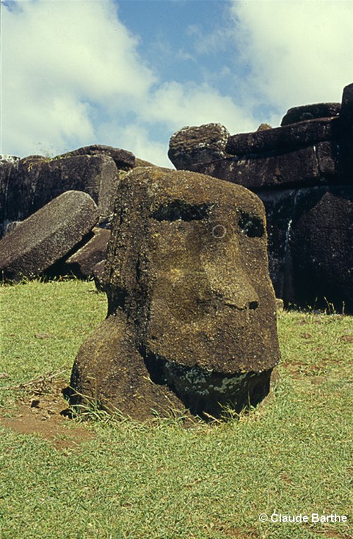 image14