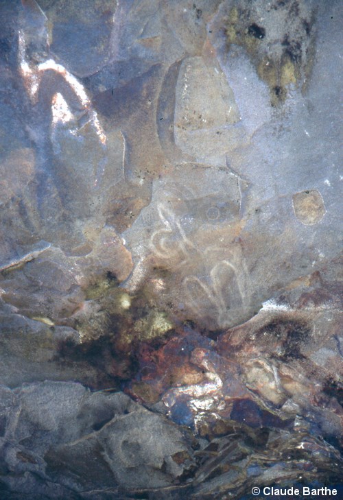 image14