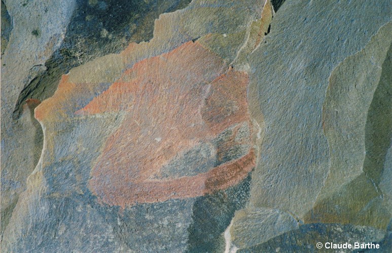 image12