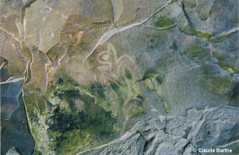 image13