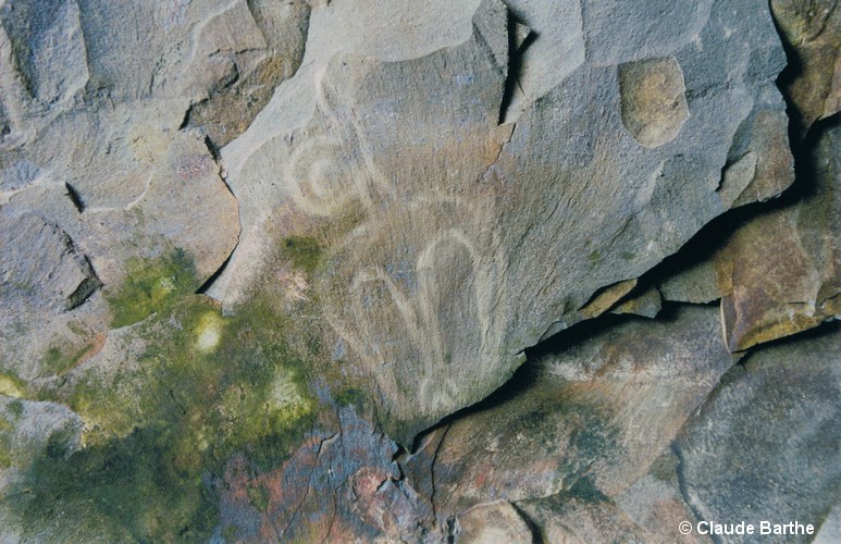 image15