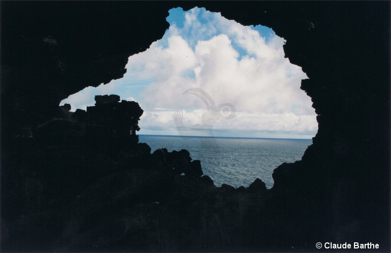 image03
