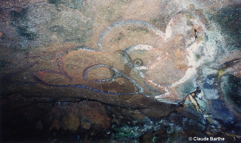 image11