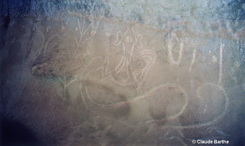 image06