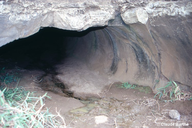 image01