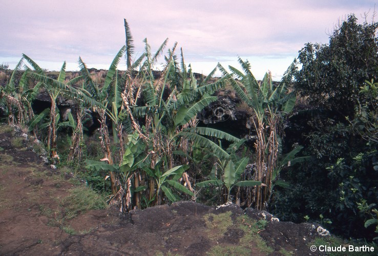 image02