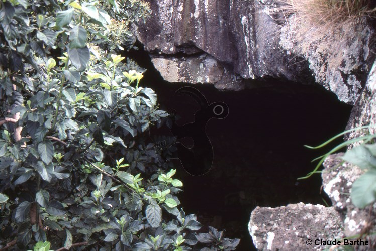 image04
