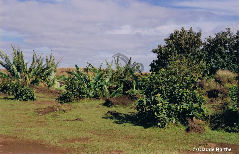 image01