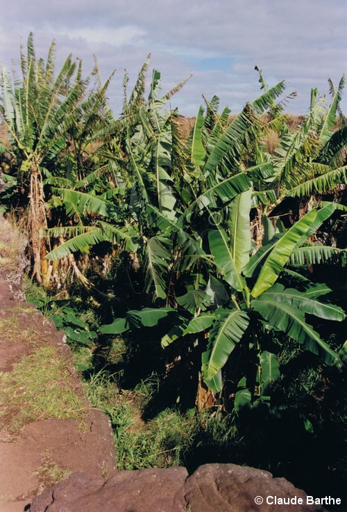 image03