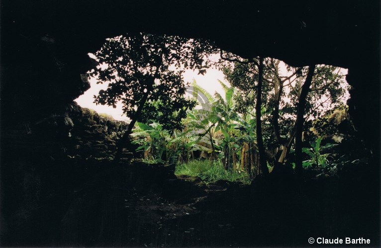 image07