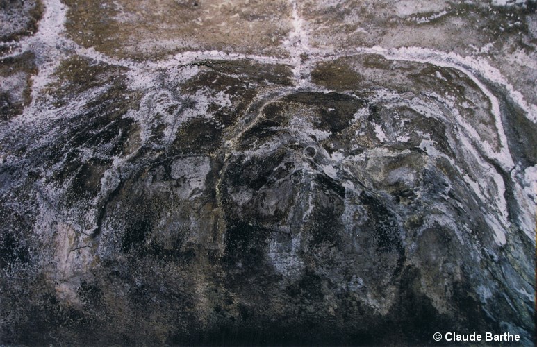 image08