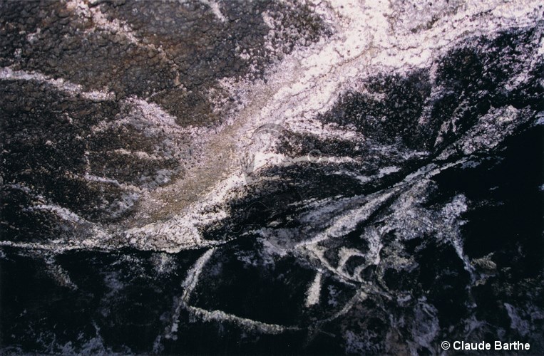 image11