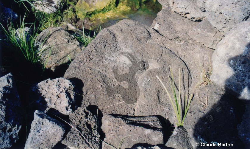 image03