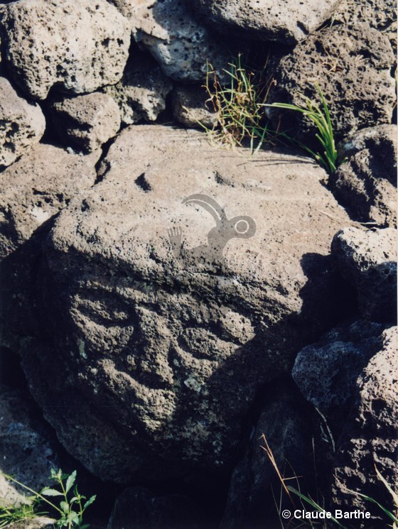 image02
