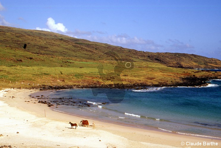 image05