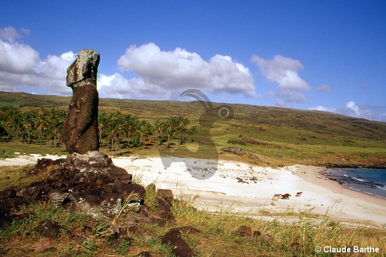 image13