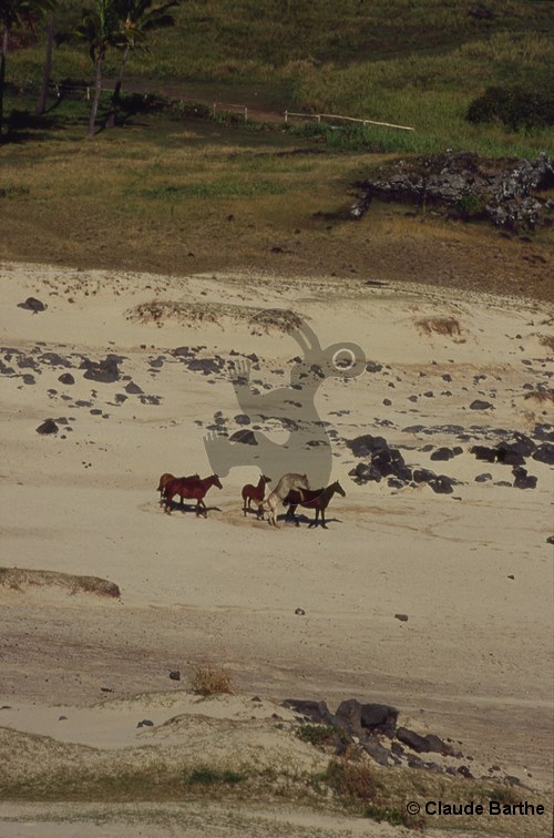 image06