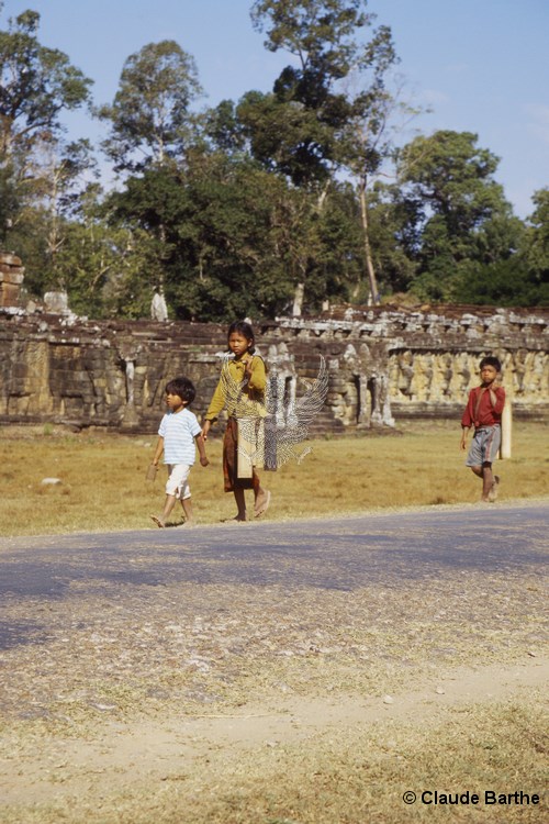 image12