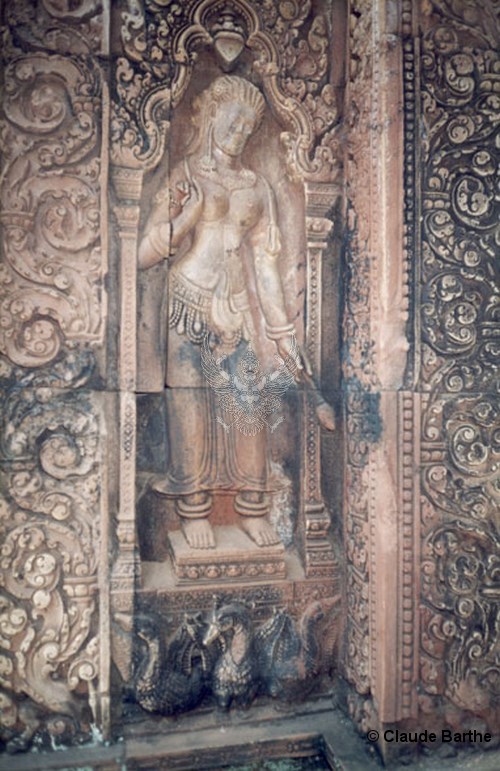 image114