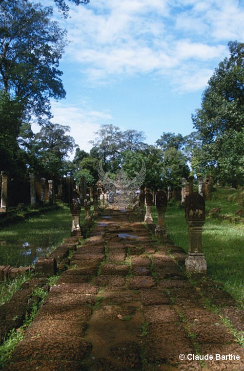image14