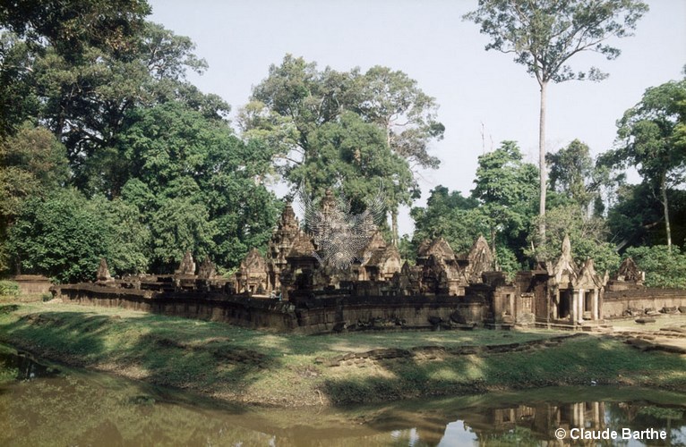 image41