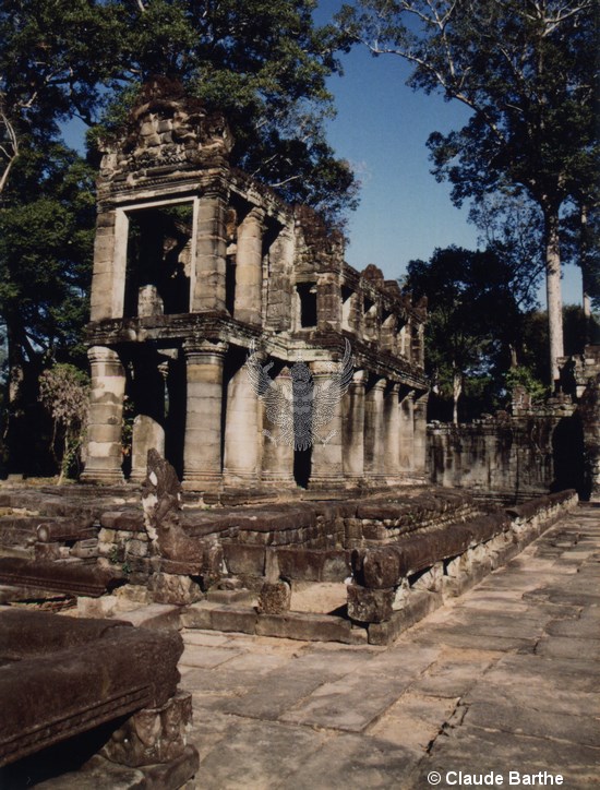 image41