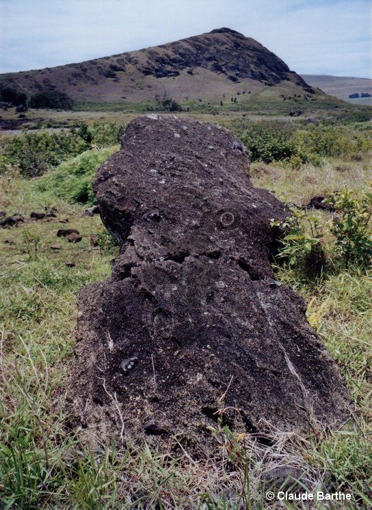 image45