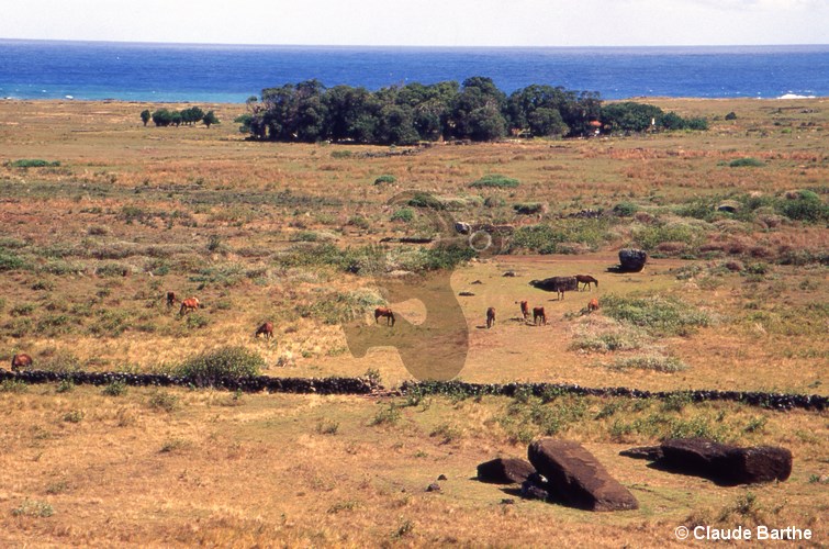 image15