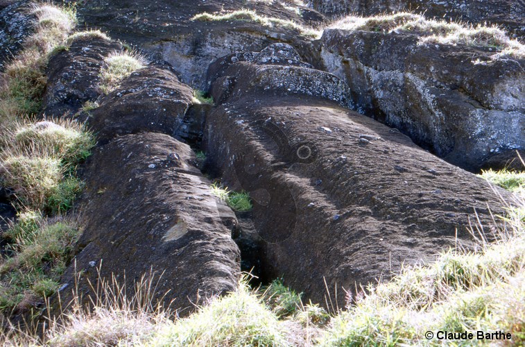 image50