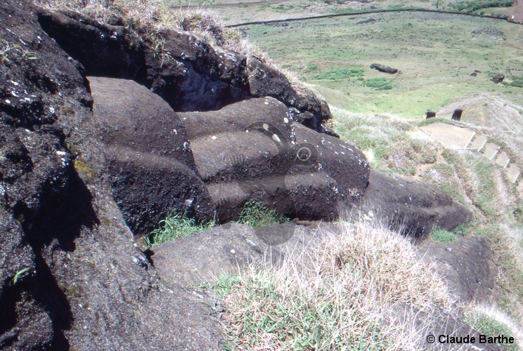 image51