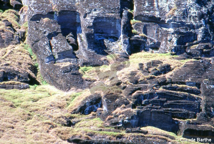 image34