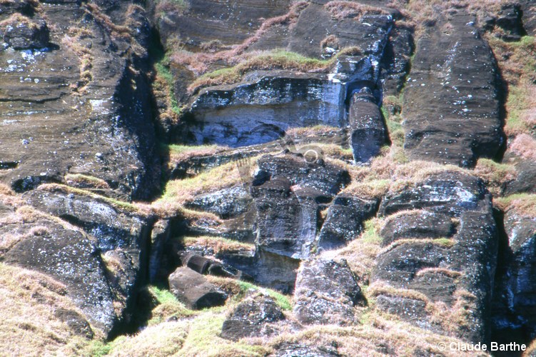 image35