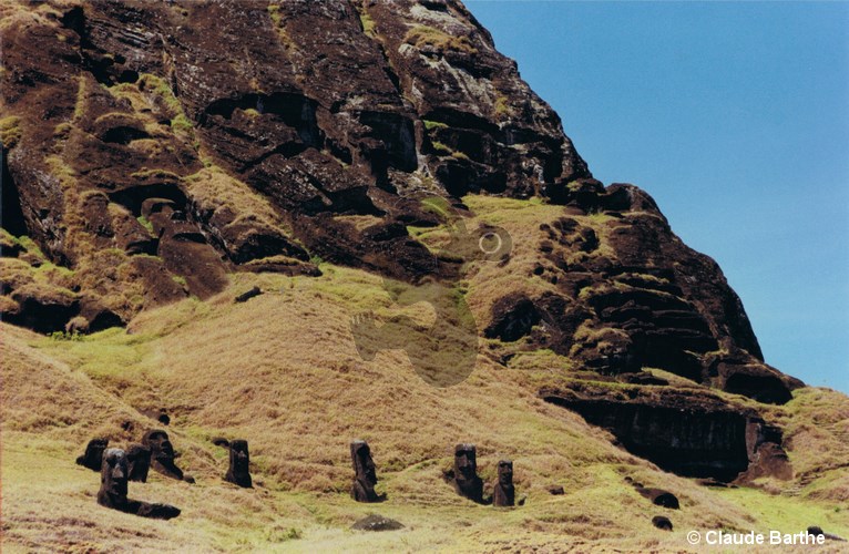image47
