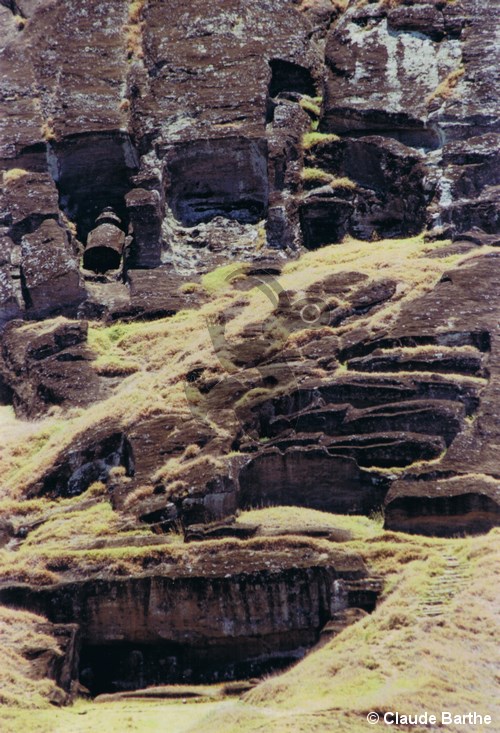 image33