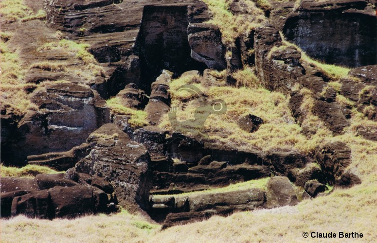 image36