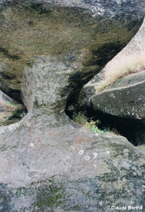 image43