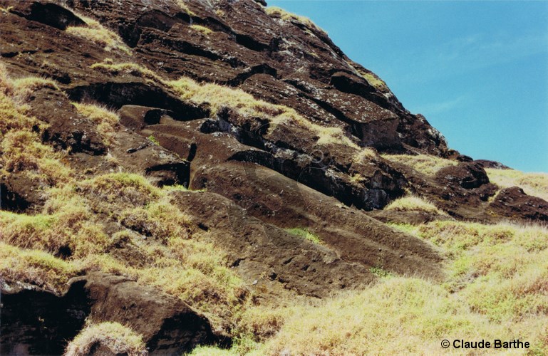 image49