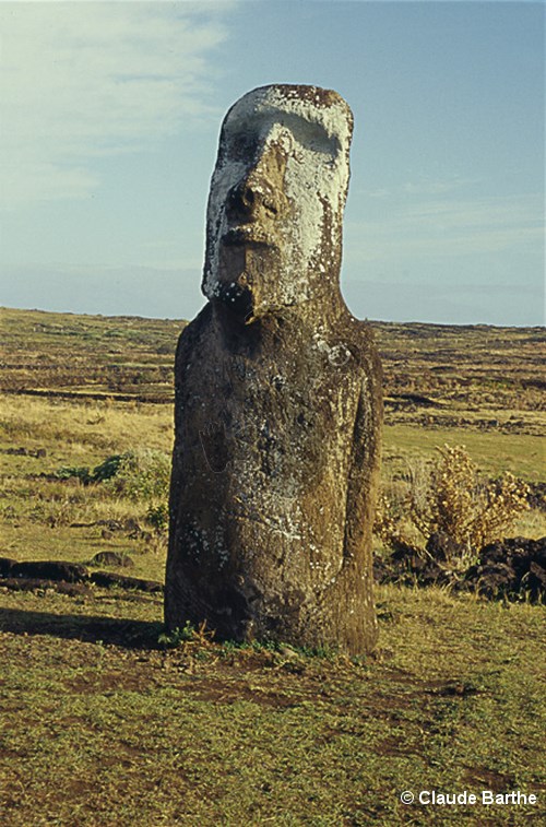 image9