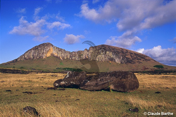 image11