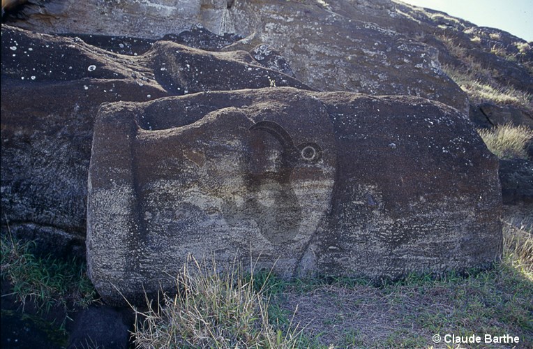 image41