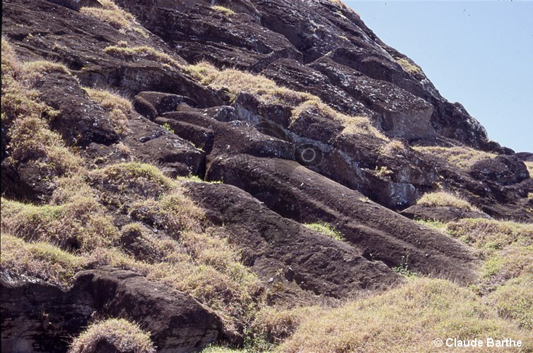image48