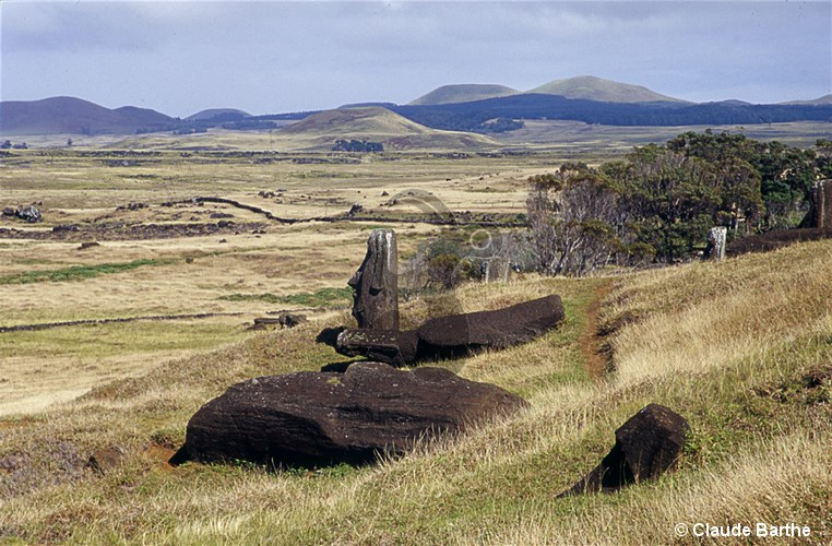 image80