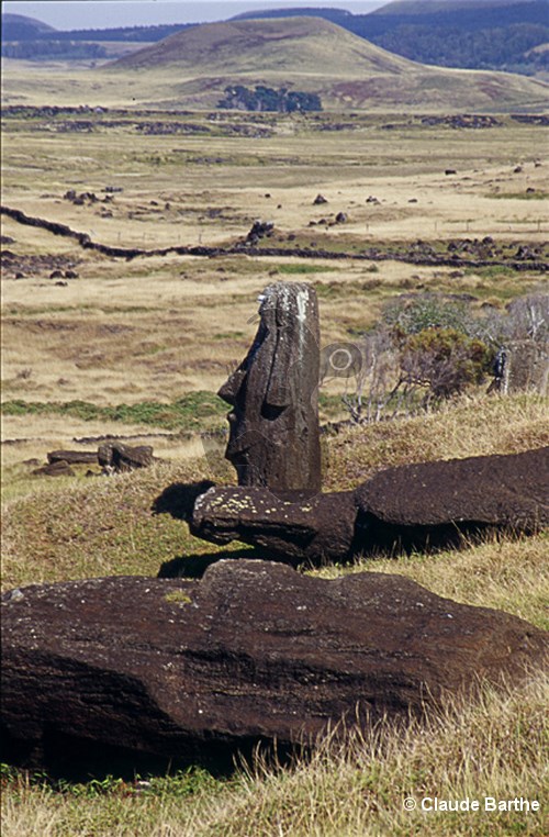 image83